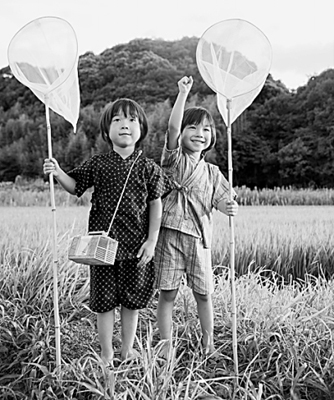 “自由研究”:日本暑假的特殊作業