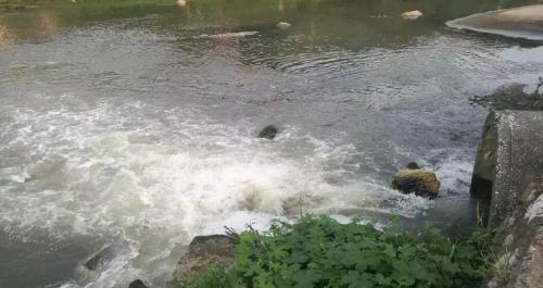 資料圖：市汙水處理廠大量汙水溢流至萍水河。 圖片來源：生態環境部
