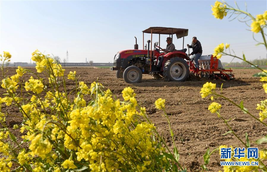 （聚焦中國經濟亮點·圖文互動）（5）匯聚高質量發展的澎湃動力——從(cong) 供給側(ce) 結構性改革看中國經濟新動能