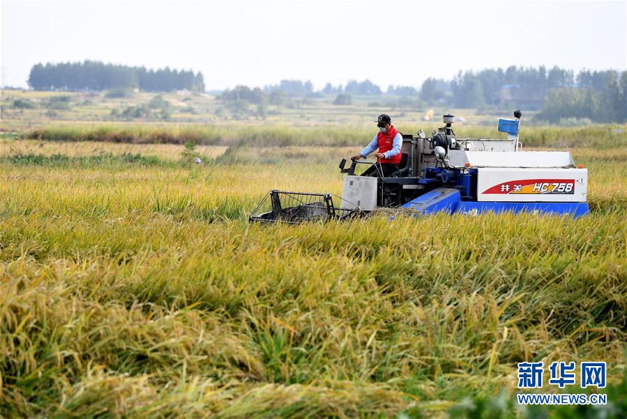 （壯麗(li) 70年·奮鬥新時代——共和國發展成就巡禮·圖文互動）（3）安徽70年：改革創新書(shu) 寫(xie) 時代答卷