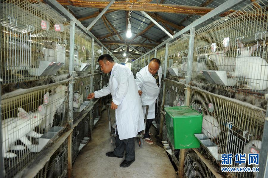 （新華全媒頭條·圖文互動）（4）幹部去哪兒了？——貴州幹部大規模下沉脫貧攻堅一線紀實